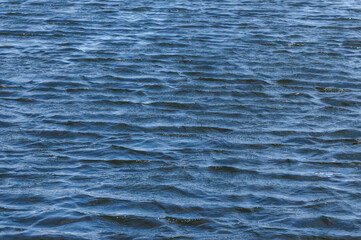 Ripples on blue water surface on windy day