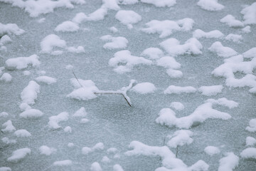 Frozen Pond 