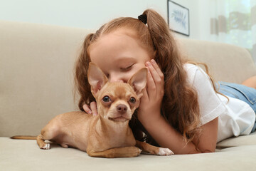 Cute little child with her Chihuahua dog on sofa at home. Adorable pet