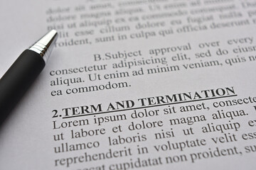 A close up to the "Term and termination" portion of the dummy contract.