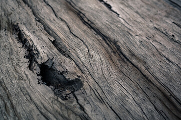 old wood background