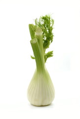 Fennel Bulb. Fresh fennel bulb with leaves on white background.