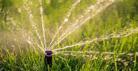Close-up of irrigation sprinkler system watering the lawn under the rays of sun. - obrazy, fototapety, plakaty