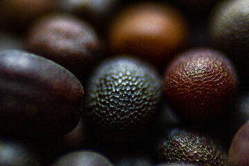 Musterd seeds macro shot