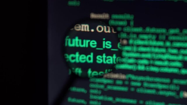 The programmer is looking for a flaw in the program code.