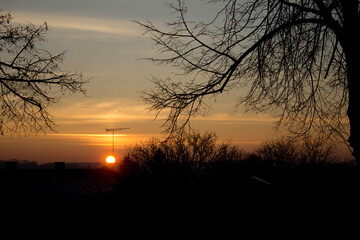 Scenery. Sunset on the background of trees and the city. Background.