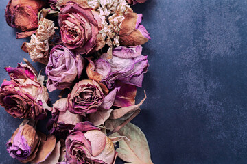 Still-life, flower petals and roses dried in red, orange, violet and  pink colors on a dark and gray background.