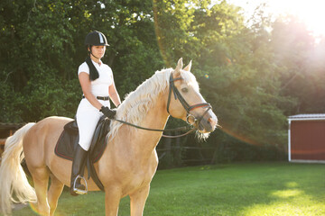 Young woman in equestrian suit riding horse outdoors on sunny day. Beautiful pet