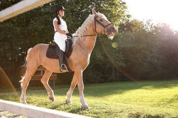 Young woman in equestrian suit riding horse outdoors on sunny day. Beautiful pet