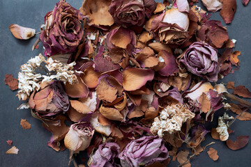 Flowers and roses dried in red, orange and  pink colors on a dark and gray color background.