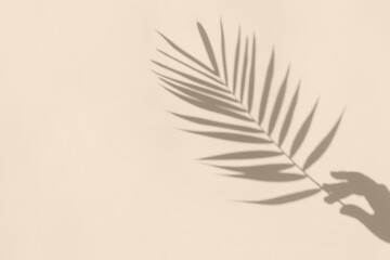 Soft shadows of hand holding a palm leaf on textured concrete background. Summer tropical minimal concept.