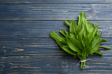 Fresh green sorrel leaves on blue wooden table, top view. Space for text
