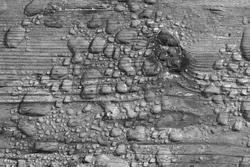 Close-up of wooden surface in drops of water. Wet wood texture. Water drops on a rustis wooden board. Empty place for text or creative design. Clapboard,desk or table