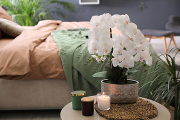 Beautiful white orchids and candles on table in bedroom, space for text. Interior design