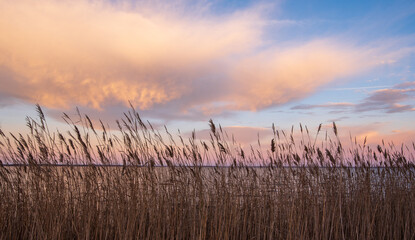 Lake Mattamuskeet at Sunrise