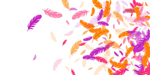 Orange purple pink red feather floating background
