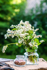 Still life of fresh flowering plants of buckwheat and transparent vessel with dry buckwheat against background of nature. Ingredient for food and diet raw.