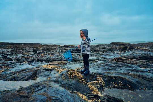 Preschooler standing on rocks by the sea with a fishing net