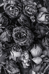 black and white flowers and roses dried on a rough background. 