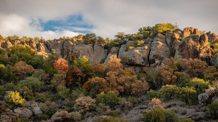 autumn in the mountains