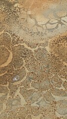 old paint texture
