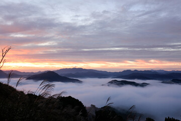 曽爾村　雲海　朝焼け　秋