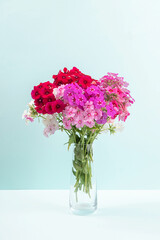 Bouquet of colorful flowers in vase on blue background. Copy space Minimal style. Template for postcard, text, design Concept Women's day, Mothers Day