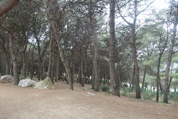 Fototapeta premium Scenery from the Montjuic hills in Barcelona, ​​Spain