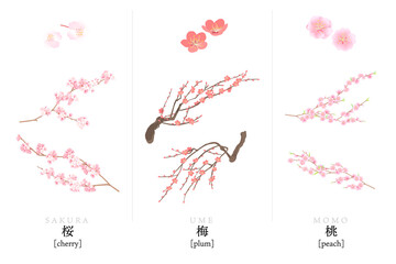 桜、梅、桃のベクターイラスト