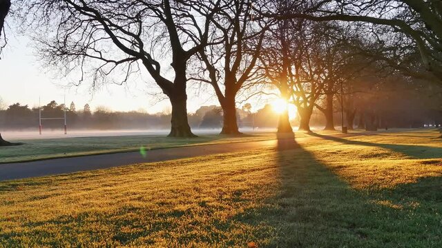 Time-lapse of withered trees in the park at sunrise in winter