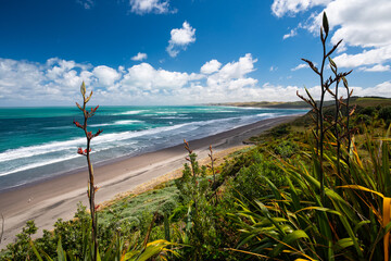 Panorama of Ngarunui beach, perfect surfing spot in Raglan, Waikato, New Zealand