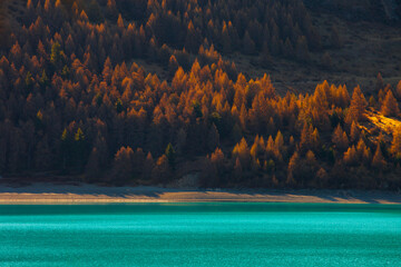 autumn landscape with lake in the afternoon