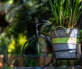 Bucket Plant Decoration
