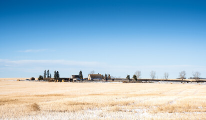 A prairie farm on a snow covered harvested field in Rocky View County Alberta Canada.