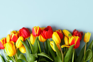 Red Yellow tulips flowers on blue background. Waiting for spring, seasonal holiday. Happy Easter card, 8 march Woman International Day. Flat lay, top view, copy space, banner, flyer
