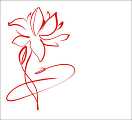 Vector Decorative background with beautiful   lotus, water lily, lily