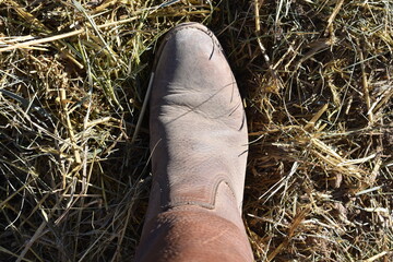 close up of boot