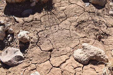 dry cracked soil