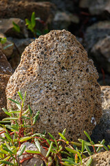 Strange Porous Rock