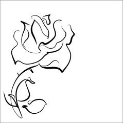 Drawing vector graphics with floral pattern for design. Rose 