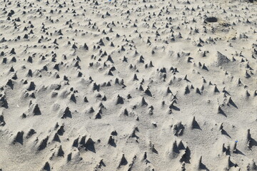 海岸の砂柱 砂の造形