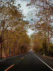 Expressway in Perspective