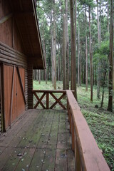 ログハウス 森林内