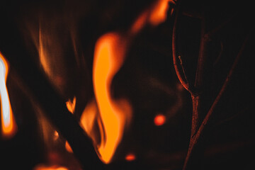 fire in the fireplace