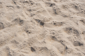 The surface of a fine-grained sand