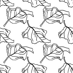 Seamless pattern line art black dry leaf on white background. Autumn art creative object for coloring book, card, wallpaper, wrapping, sticker, postcard