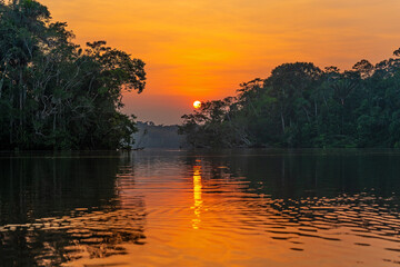 Sunset reflection in the Amazon Rainforest. The Amazon river basin comprise Brazil, Bolivia, Colombia, Ecuador, Guyana, Suriname, Peru and Venezuela.