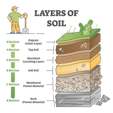 Layers of soil diagram as educational labeled earth structure outline concept