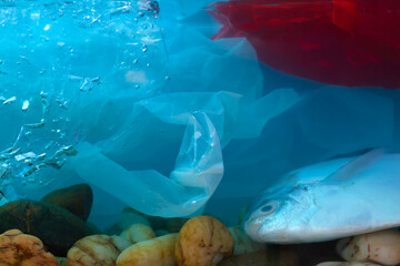 Disposal of waste into water sources, such as plastic bags, is non-biodegradable, causing pollution and is harmful to aquatic animals and ecological systems.