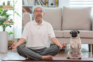 Asian elderly senoir man doing yoga with dog pug breed in living room at home,Happy Retired at home...
